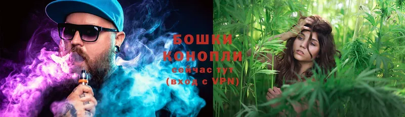 Шишки марихуана Ganja  Вельск 